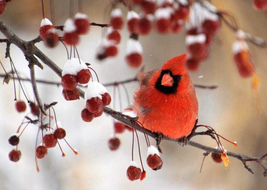 Changing Seasons Photo Contest - National Camera Exchange