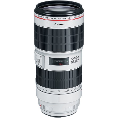 Buy Canon EF 70-200mm F2.8L IS III USM Autofocus Telephoto Zoom Lens ...